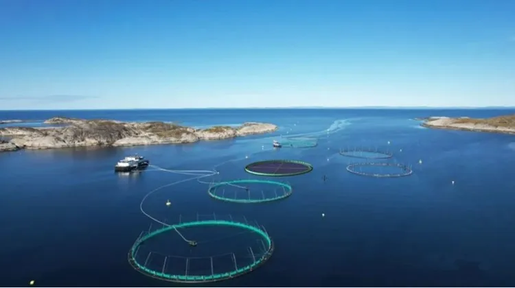 1042054041 1042054041