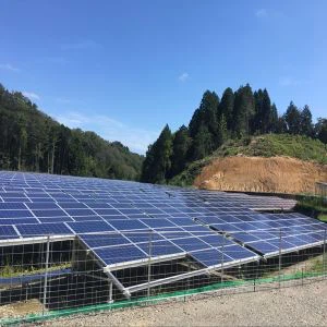 Sistema di montaggio a terra solare per 800KW Con SGS ANS Certified